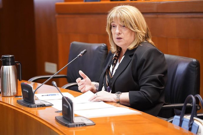 La consejera de Educación, Cultura y Deporte del Gobierno de Aragón, Tomasa Hernández, en su comparecencia ante la Comisión sectorial de las Cortes autonómicas.