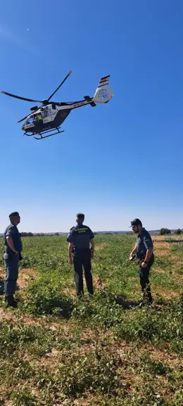 Operativo de búsqueda del senderista fallecido. - GUARDIA CIVIL.