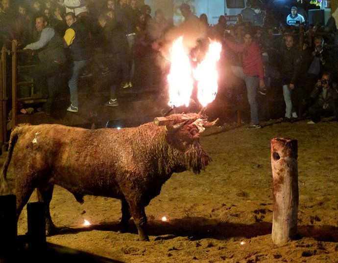Archivo - Imagen del Toro Jubilo del año 2015