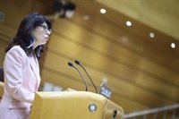 Redondo pide "disculpas" a las víctimas por el "ruido" de las pulseras y avanza investigación interna "exhaustiva"