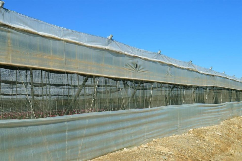 Invernadero con plásticos agrícolas cuyo uso prolongado genera residuos que alteran la estructura y calidad del suelo.