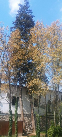 Fachada de la casa-palacio de los Vargas, en la Casa de Campo de Madrid