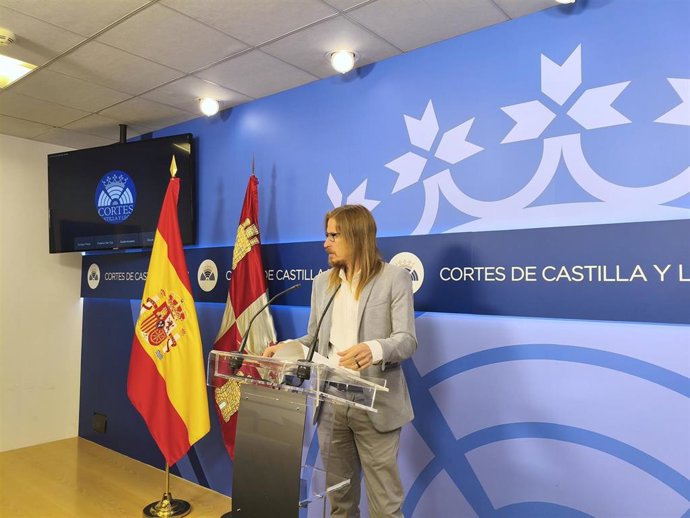 El coportavoz y secretario de Organización de Podemos, Pablo Fernández, en una rueda de prensa en las Cortes de Castilla y León.
