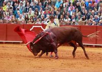 La ILP contra las corridas de toros, auspiciada por los socios del PSOE, llega al Pleno del Congreso