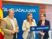 PP C-LM exige la dimisión de la consejera de Desarrollo Sostenible por la gestión del incendio de Peñalba de la Sierra