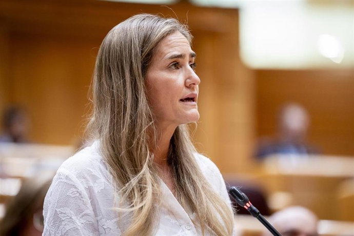 La vicepresidenta tercera y ministra para la Transición Ecológica y Reto Demográfico, Sara Aagesen, interviene durante una sesión de control al Gobierno, en el Senado, a 9 de septiembre de 2025, en Madrid (España). 