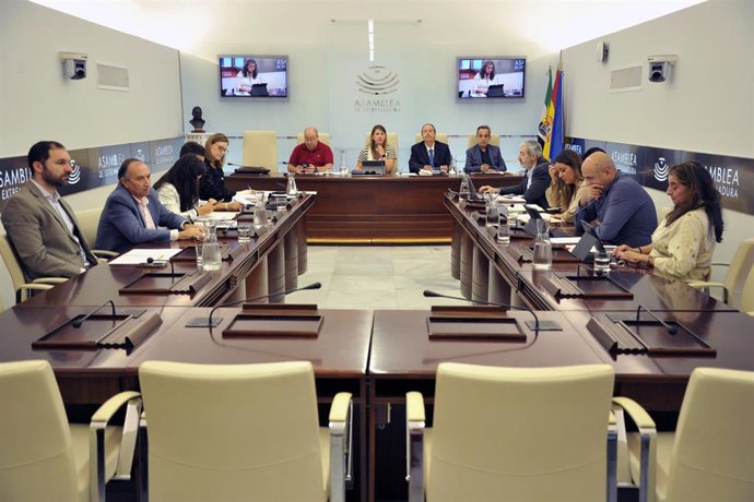 Reunión de la Comisión de Cultura, turismo, Jóvenes y Deportes de la Asamblea para elaborar el dictamen a la propuesta de ley de Concordia de Extremadura