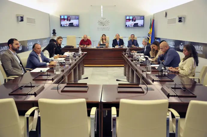 Reunión de la Comisión de Cultura, Turismo, Jóvenes y Deportes de la Asamblea para elaborar el dictamen a la propuesta de ley de Concordia de Extremadura