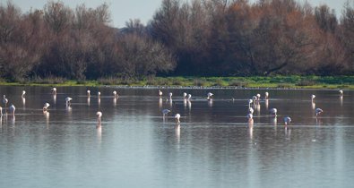 Es Andalucía - Sevilla