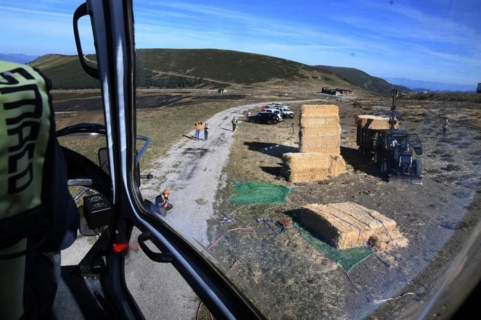 Reparto de paja en zonas afectadas por los incendios forestales.