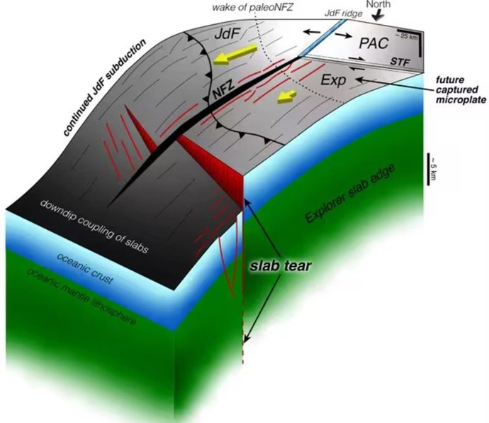 La Corteza Terrestre Se Está Desgarrando Frente Al Noroeste Del Pacífico