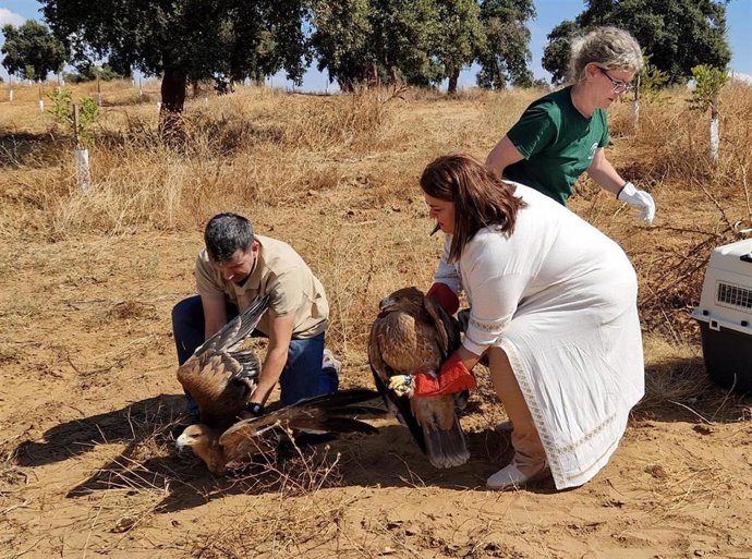 La delegada territorial, Inmaculada Gallardo, y el jefe de Servicio de Gestión del Medio Natural, Antonio Garzas, participan en la liberación de dos ejemplares de águila imperial.