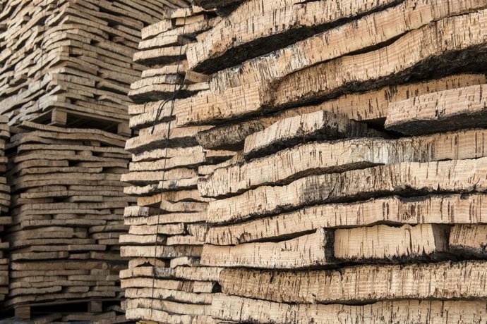 Archivo - Placas de corcho natural a la espera de ser estabilizadas con un primer hervido en la fábrica De Maria Taps S.L., en Cassà de la Selva, a 16 de junio de 2022, en Girona, Cataluña (España). 