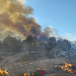 Incendio cerca de la C-14 en Vilaverd