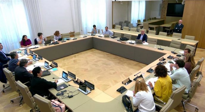 Uno de los momentos de la Comisión de Ordenación Territorial, Vivienda, Movilidad, Mar y Ciclo del Agua del Parlament.