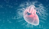Foto: Un cardiólogo pediátrico subraya la importancia del control cardiovascular en niños para detectar riesgos a tiempo