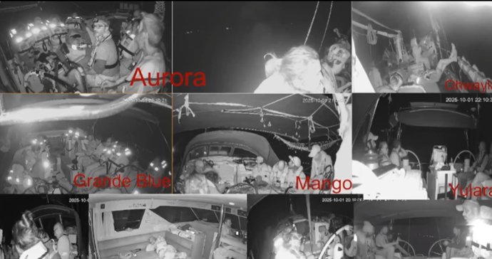 Vídeo de la noticia