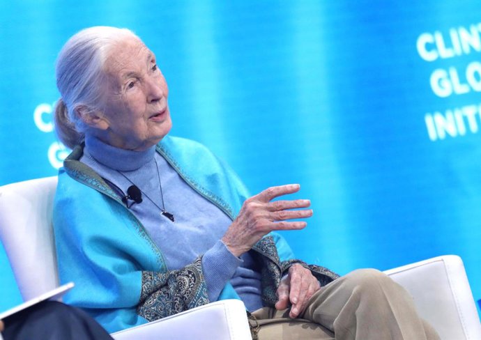 Archivo - Arquivo - 24 de setembro de 2024, Nova York, Nova York, EUA: A primatologista JANE GOODALL vista durante a reunião do Dia 2 da Iniciativa Global Clinton (CGI) de 2024, realizada no New York Hilton Hotel.