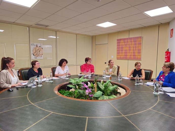La consejera de Bienestar, Candelaria Delgado, y la directora general de Discapacidad, Dulce Gutiérrez, se reúnen con representantes de la Federación de Salud Mental Canarias