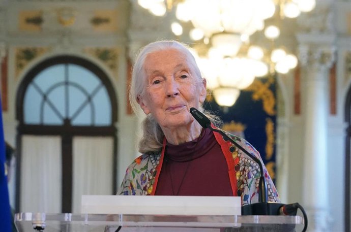 Archivo - La doctora Jane Goodall durante la presentación de la conferencia 'Esperanza en acción'. A 02 de mayo de 2025, en Málaga