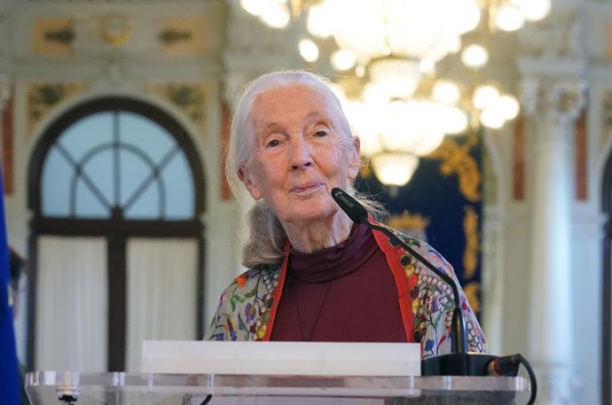 Archivo - L'etòloga britànica Jane Goodall