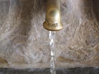 ZeC pide garantizar puntos de agua gratuita en las fiestas del Pilar para prevenir el consumo de alcohol