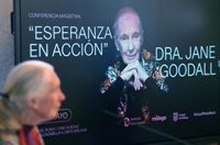 Ecologistas españoles despiden a la etóloga Jane Goodall, "defensora incansable de la naturaleza"