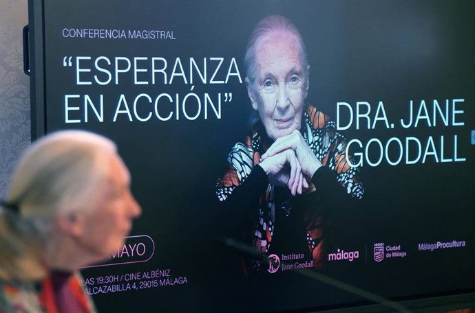 Archivo - La doctora Jane Goodall durante la presentación de la conferencia 'Esperanza en acción'. A 02 de mayo de 2025, en Málaga (Andalucía, España). 