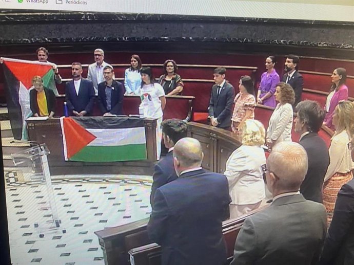 El grupo Compormís despliega una bandera de Palestina durante el minuto de silencio guardado en el pleno por todas las víctimas de los conflictos internacionales
