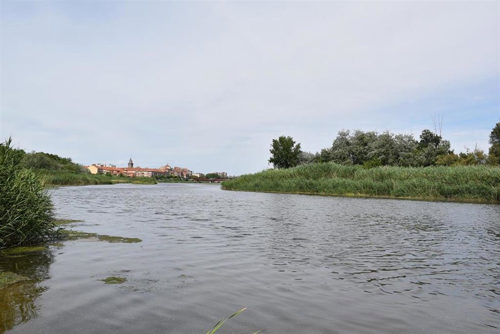 Archivo - Río Tajo
