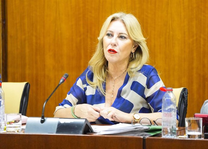 La consejera de Economía, Hacienda y Fondos Europeos, Carolina España, comparece en comisión parlamentaria.