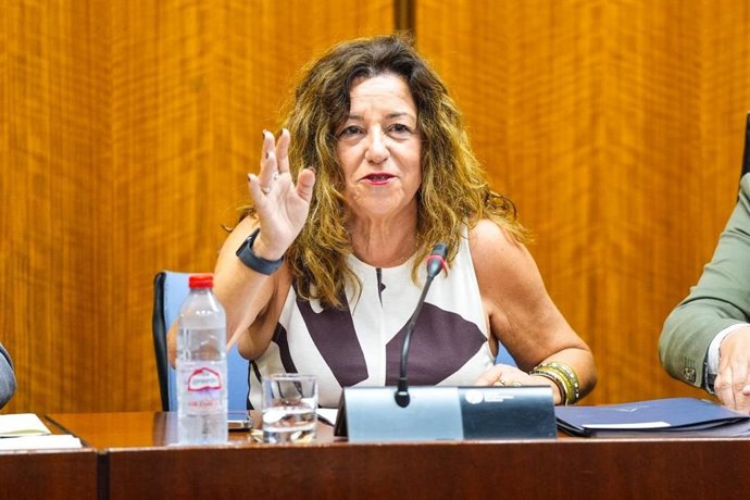 La consejera de Desarrollo Educativo, María del Carmen Castillo, en la comisión del 2 de octubre de 2025.