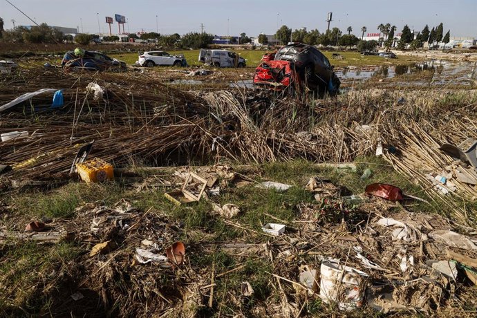 Archivo - Arxive - Restes de la DANA en un camp d'arrossars en els voltants de l'Albufera, a un mes del pas de la DANA per València, a 29 de novembre de 2024, a València