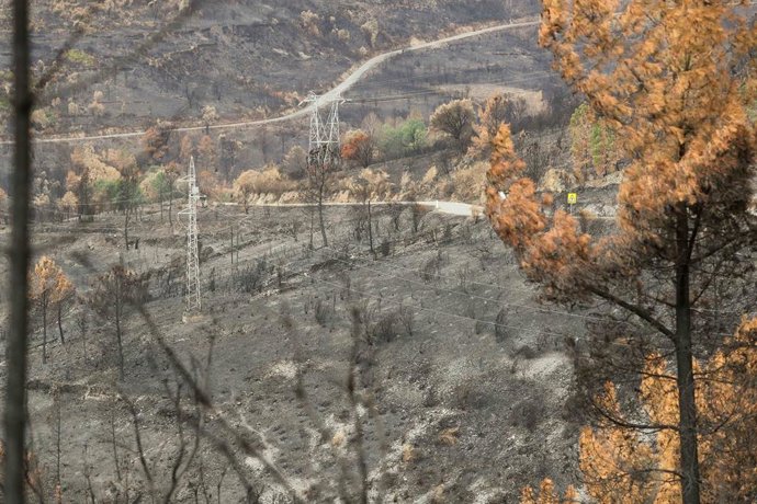 Efectos del incendio de Larouco, a 11 de septiembre de 2025, en Ourense, Galicia