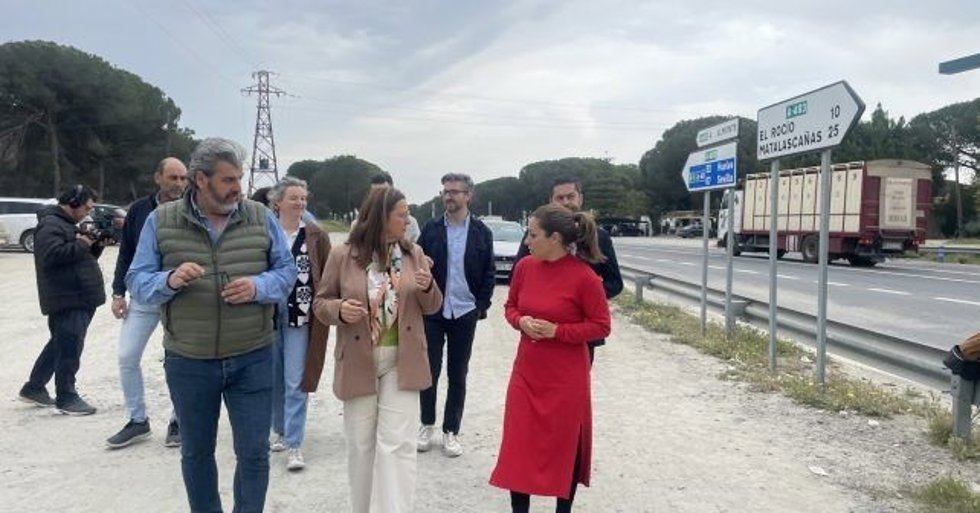 Representantes del PSOE de Huelva en la A-483.
