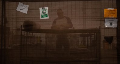 Cooperación y Desarrollo