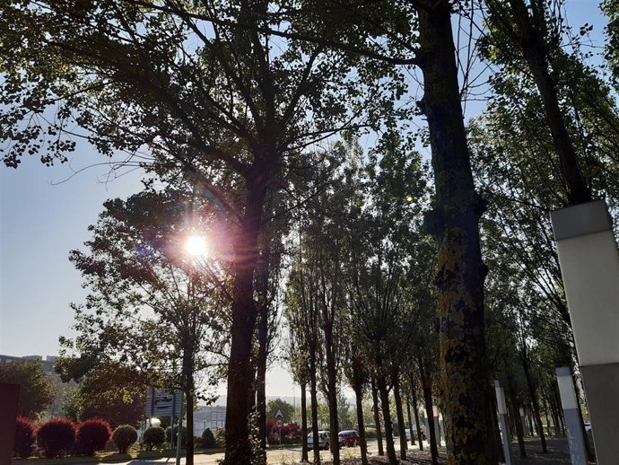 Archivo - Cielos despejados