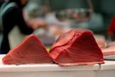 Foto: ¿Puedo comer atún rojo del Atlántico sin preocuparme por el mercurio?