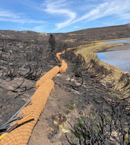 CHD acomete trabajos de restauración hidrológico-forestal para proteger el Lago de Sanabria (Zamora) tras los incendios