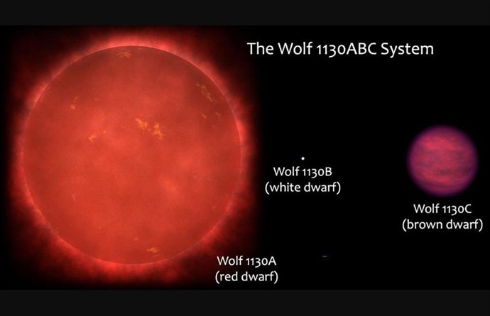 Esquema do sistema triplo Wolf 1130ABC, que consiste na estrela anã vermelha Wolf 1130A, sua companheira anã branca compacta Wolf 1130B e a distante anã marrom terciária Wolf 1130C.