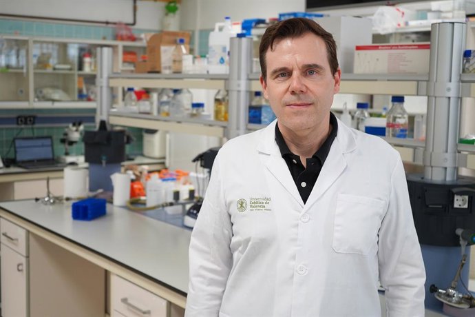 Archivo - Arxiu - La Universitat de Stanford eleva al valencià Ángel Serrano al top 1% d'investigadors del món