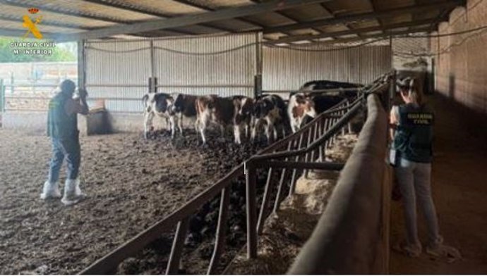 Un momento de la inspección de la explotación ganadera.