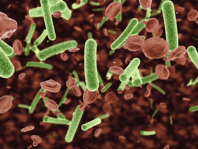 Archivo - Arquivo - Bactérias que infectam a corrente sanguínea. Sangue, veias, corrente sanguínea