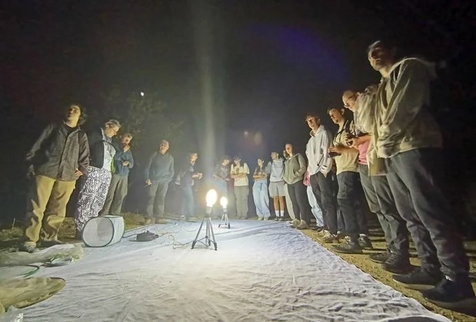 La UNIA realiza en Málaga un taller de iniciación al estudio y conservación de mariposas y escarabajos.