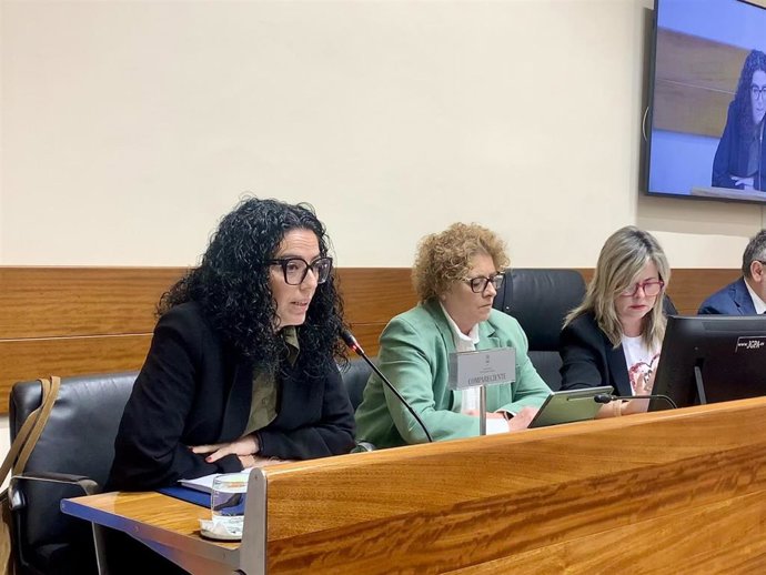 La consejera de Cultura, , Política Llingüística y Deporte, Vanessa Gutiérrez, duranta la comisión parlamentaria de este viernes.