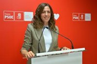 El PSOE denuncia que Toledo pierde 20 millones de fondos europeos por la "incompetencia" del alcalde