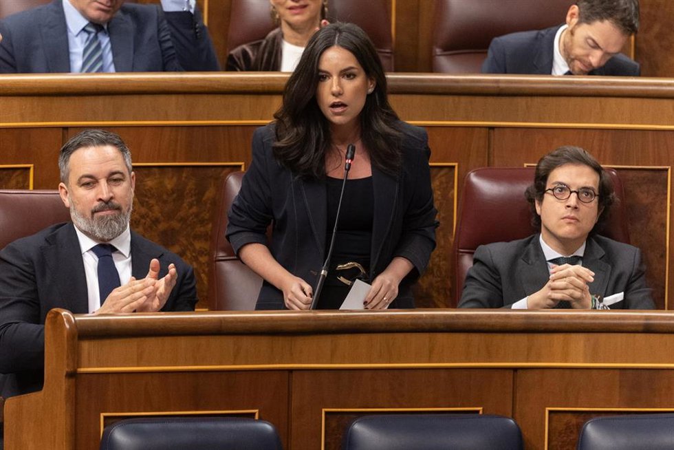Archivo - La portavoz de VOX en el Congreso, Pepa Millán, interviene durante una sesión de control, Congreso de los Diputados, a 12 de febrero de 2025, en Madrid (España). 