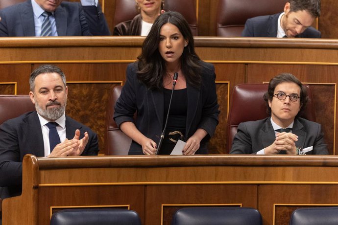 Archivo - La portavoz de VOX en el Congreso, Pepa Millán, interviene durante una sesión de control, Congreso de los Diputados, a 12 de febrero de 2025, en Madrid (España). 