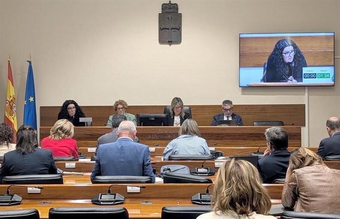 La consejera de Cultura,  Política Llingüística y Deporte, Vanessa Gutiérrez, durante la comisión parlamentaria de este viernes en la Junta General.