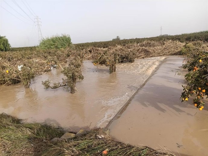 Archivo - Campos afectados por la dana